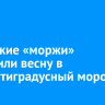 Иркутские «моржи» встретили весну в 30-градусный мороз