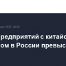 Число предприятий с китайским капиталом в России превысило 9 тыс.