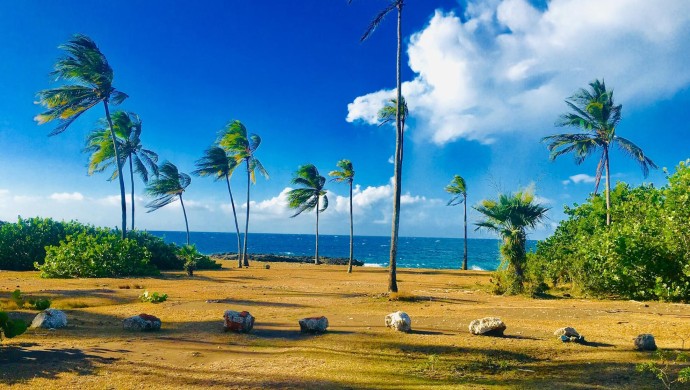 Курорт Ольгин на Кубе готов приему туристов: полетит ли туда чартер Курорт Ольгин на Кубе готов приему туристов: полетит ли туда чартер