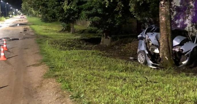 В Боровичах девушка-водитель не справилась с управлением и врезалась в дерево