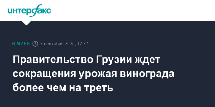 Правительство Грузии ждет сокращения урожая винограда более чем на треть