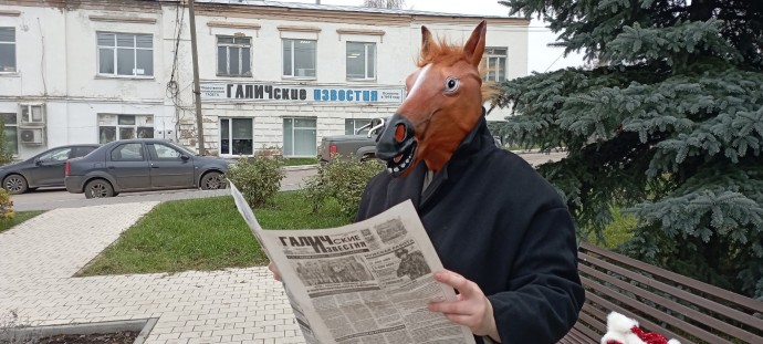 Коня в пальто с газетой обнаружили наряжающим елку в Костромской области Коня в пальто с газетой обнаружили наряжающим елку в Костромской области