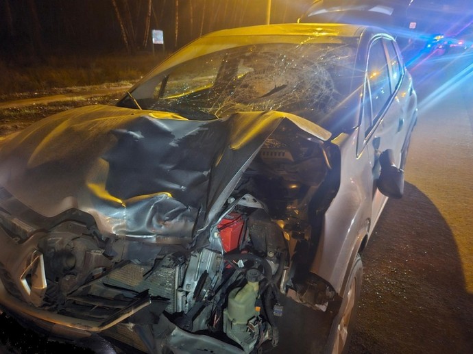 Два пешехода погибли под колёсами машин в Белгородской области Два пешехода погибли под колёсами машин в Белгородской области