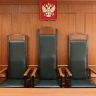 Суд в Орехово-Зуево рассмотрит дело мужчины, незаконно убившего лося в лесу