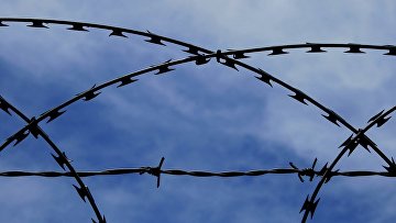 Экс-полицейские получили 3 года колонии за хищение рыболовных сетей и раколовок