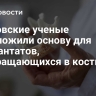 Ростовские ученые предложили основу для имплантатов, превращающихся в кость
