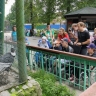 В Петербурге пройдет инклюзивный фестиваль «Зоопарк – территория добра»