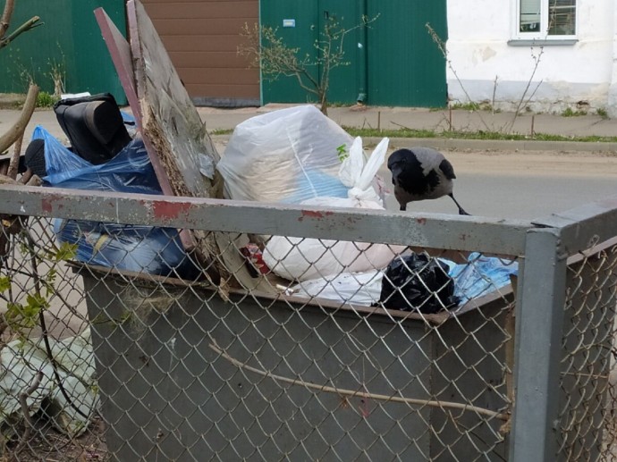 В Костроме намусорили на 100 тысяч рублей В Костроме намусорили на 100 тысяч рублей