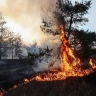 Амурчанам выписали штрафов на 590 тысяч за нарушения правил пожарной безопасности в лесах