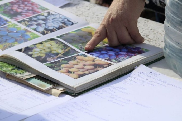 Погода кардинально поменяется в Астрахани 