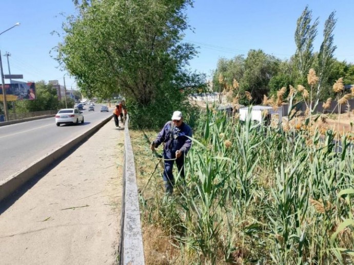 В Астрахани усилена работа по скосу сорной растительности