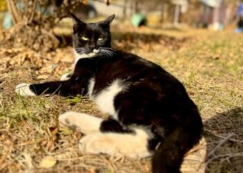 Тельцам не стоит слишком распускать язык, Рыбам пришло время почивать на лаврах