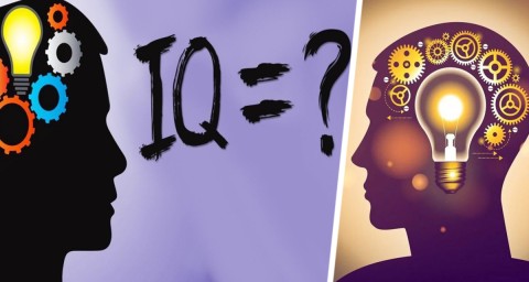 Вьетнамский квест для знатоков: испытываем IQ российских путешественников