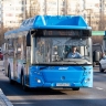 Общественному транспорту Белгородской области не хватает 217 водителей