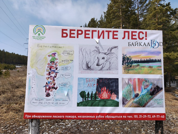 В Бурятии уже произошло 495 лесных пожаров