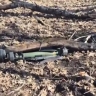 Российские военные захватили арсенал шведско-британских противотанковых гранатометов NLAW