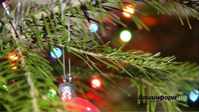В Башкирии разъяснили, как отдыхаем и работаем в новогодние праздники