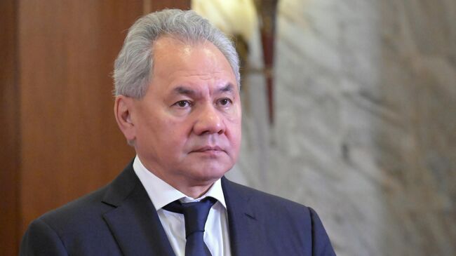 Шойгу оценил отношения России и Китая