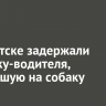 В Иркутске задержали девушку-водителя, наехавшую на собаку