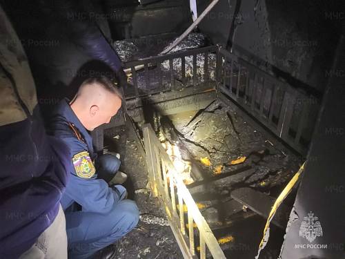 Женщина с маленьким ребенком погибли в пожаре в Приамурье