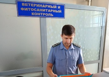 В Приамурье не дали ввезти «неизвестное» мясо из Китая