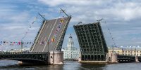 Рыжие астраханки могут получить путевку в Турцию Рыжие астраханки могут получить путевку в Турцию