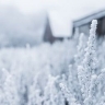 Циклон принесет в Приамурье снег
