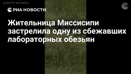 Жительница Миссисипи застрелила одну из сбежавших лабораторных обезьян