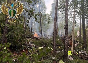 Опубликованы кадры с места крушения самолета в Амурской области
