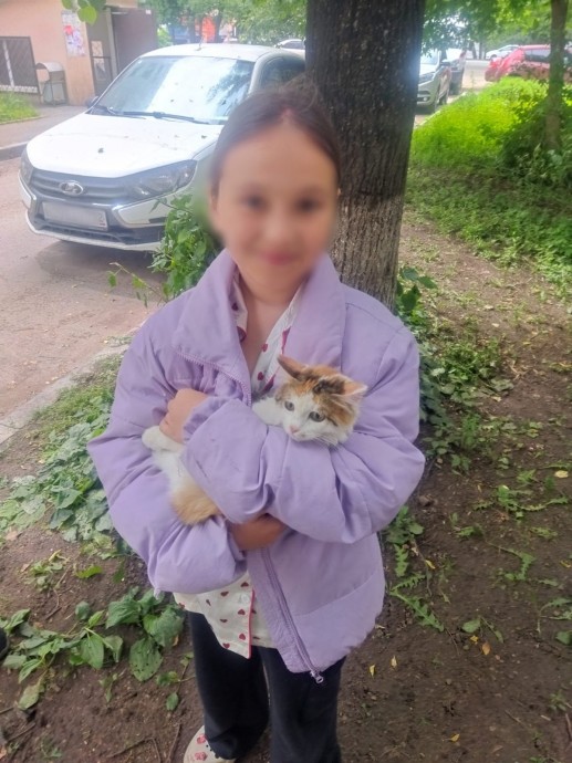 В Уфе спасатели пришли на помощь кошке
