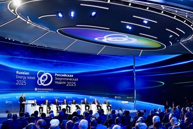 Собянин: Москва работает над повышением энергоэффективности городского хозяйства