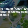 Ученые нашли "ключ" для внедрения в клетку лекарства из растений