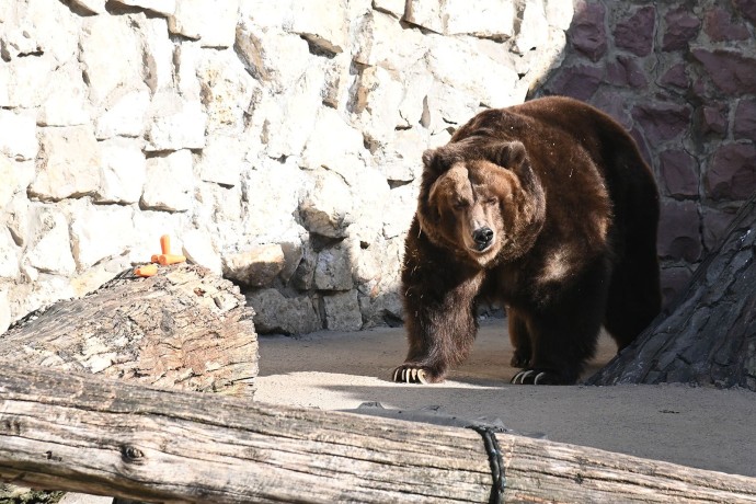 Заповедный мир: встреча с природой