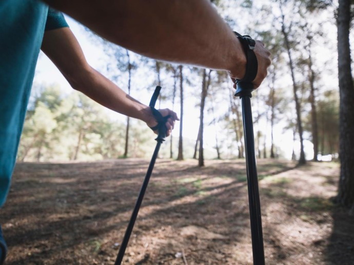 Быстрая ходьба снижает риск диабета и болезней сердца — iDNES Быстрая ходьба снижает риск диабета и болезней сердца — iDNES