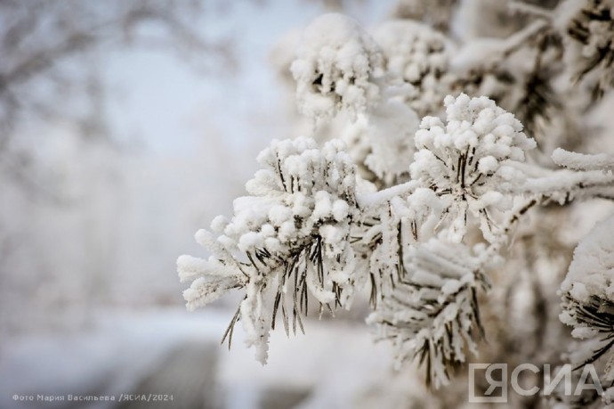 Платон и Роман Зимоуказатели: что нельзя делать 1 декабря 2025 года, народные приметы Платон и Роман Зимоуказатели: что нельзя делать 1 декабря 2025 года, народные приметы