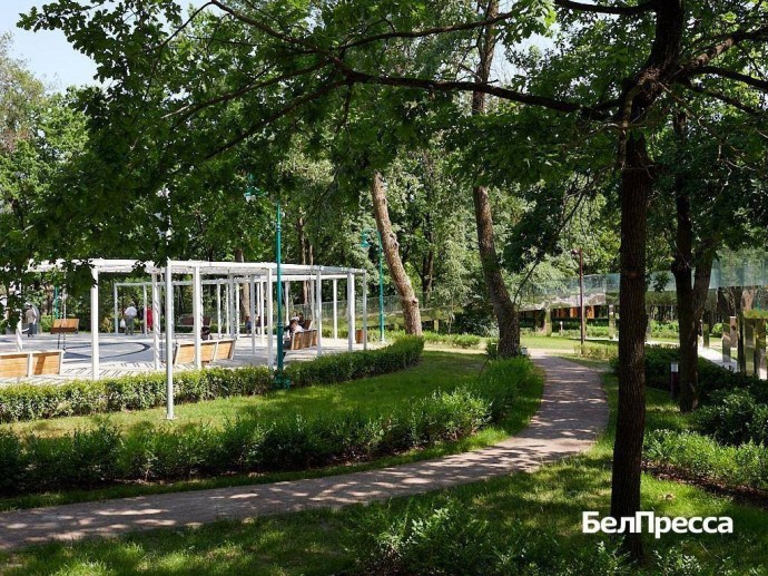 Мэрия Белгорода выберет резидентов креатив-тауна в парке Ленина через конкурс