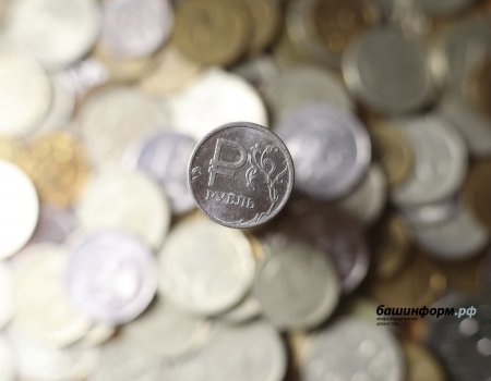 В Башкирии ввели новый налоговый режим В Башкирии ввели новый налоговый режим