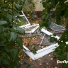 Какие повреждения получила Белгородская область после очередных атак ВСУ за сутки