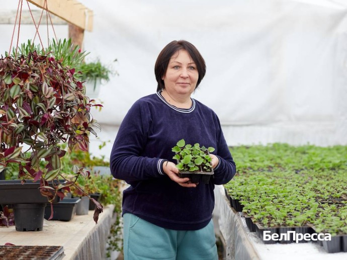 Новый старт любимого дела. Белгородцам соцконтракт помог возродить тепличное хозяйство Новый старт любимого дела. Белгородцам соцконтракт помог возродить тепличное хозяйство