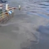 В Енисей вылилось 30 тонн топлива: судно село на мель в Красноярском крае, введён режим ЧС