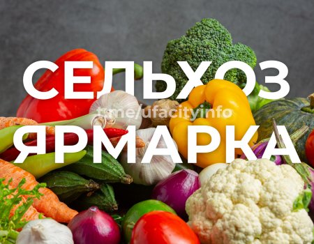 В День республики по Башкирии пройдут масштабные сельхозярмарки В День республики по Башкирии пройдут масштабные сельхозярмарки