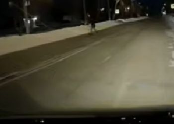 Соцсети: в Райчихинске среди зимы дети опасно катались на самокатах