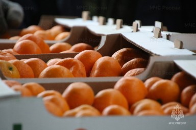 Республика Абхазия передала 80 тонн цитрусовых в новые регионы России