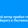 Сильный ветер прибил глыбы льда к берегу в Листвянке