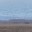 Огромную стаю гусей встретили в Приамурье
