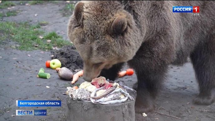 Вести – Центр. Эфир от 23.11.2025 Вести – Центр. Эфир от 23.11.2025