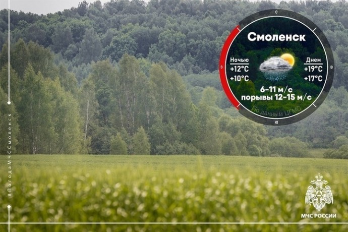 Завтра в Смоленске и области будет дождливо
