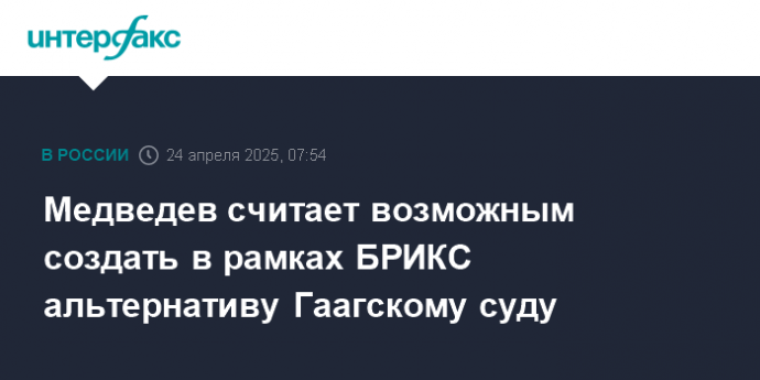 Медведев считает возможным создать в рамках БРИКС альтернативу Гаагскому суду