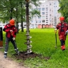 В крупных жилых кварталах Колпино появится новое освещение