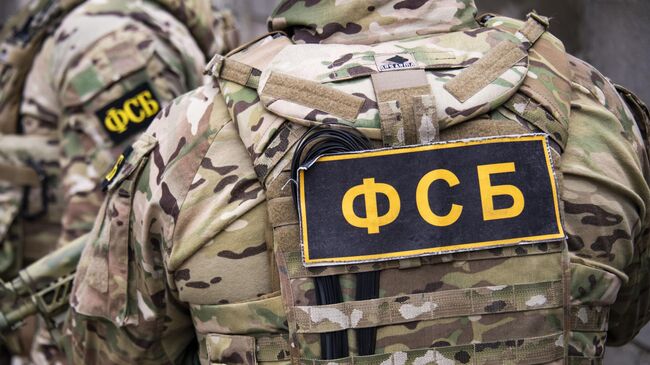 Появились подробности о пособнице Киева, задержанной в Петербурге